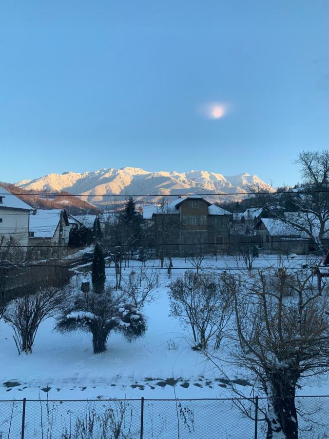 Vila Codreanu Bran  Esterno foto