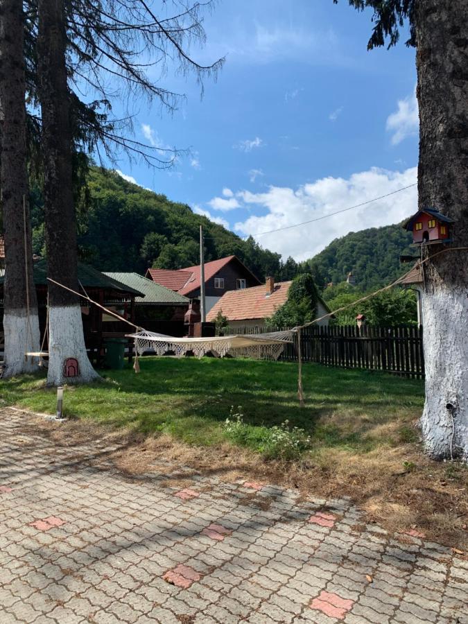 Vila Codreanu Bran  Esterno foto